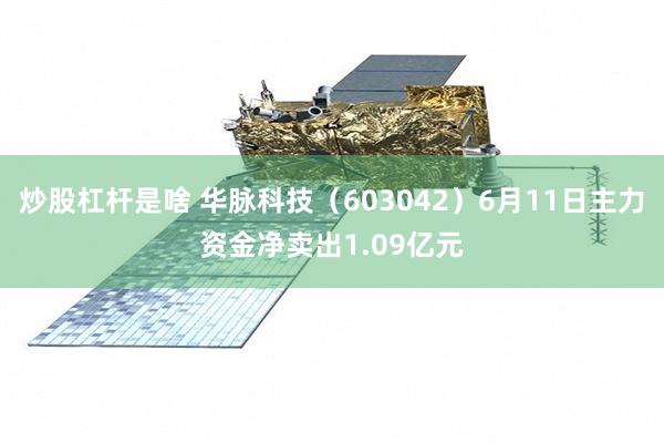 炒股杠杆是啥 华脉科技（603042）6月11日主力资金净卖出1.09亿元