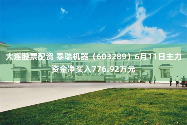 大连股票配资 泰瑞机器（603289）6月11日主力资金净买入776.92万元