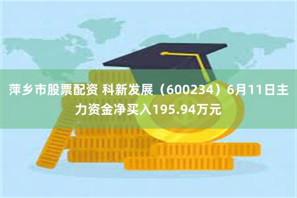 萍乡市股票配资 科新发展（600234）6月11日主力资金净买入195.94万元