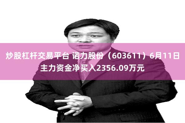 炒股杠杆交易平台 诺力股份（603611）6月11日主力资金净买入2356.09万元
