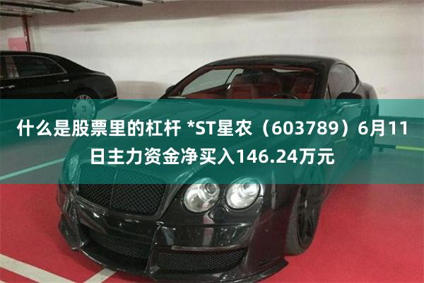 什么是股票里的杠杆 *ST星农（603789）6月11日主力资金净买入146.24万元
