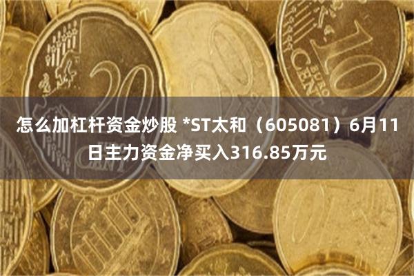 怎么加杠杆资金炒股 *ST太和（605081）6月11日主力资金净买入316.85万元
