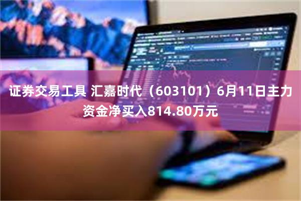 证券交易工具 汇嘉时代（603101）6月11日主力资金净买入814.80万元