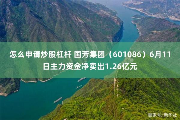 怎么申请炒股杠杆 国芳集团（601086）6月11日主力资金净卖出1.26亿元