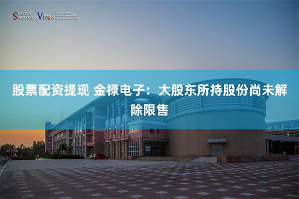 股票配资提现 金禄电子：大股东所持股份尚未解除限售