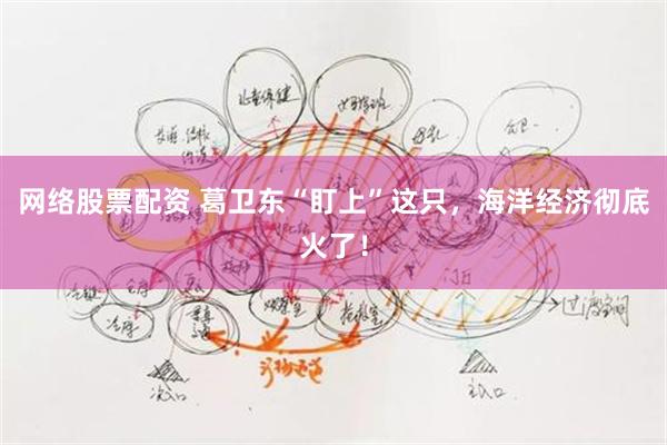 网络股票配资 葛卫东“盯上”这只，海洋经济彻底火了！