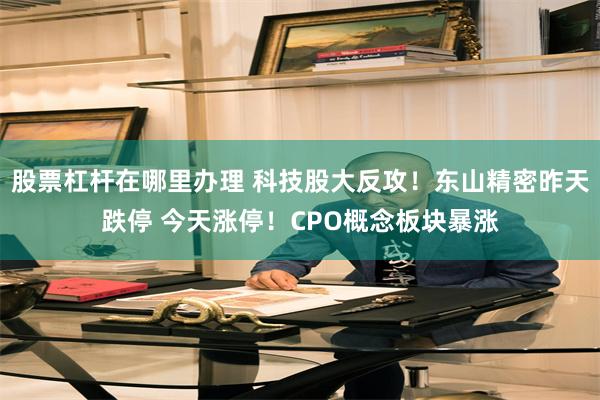 股票杠杆在哪里办理 科技股大反攻！东山精密昨天跌停 今天涨停！CPO概念板块暴涨