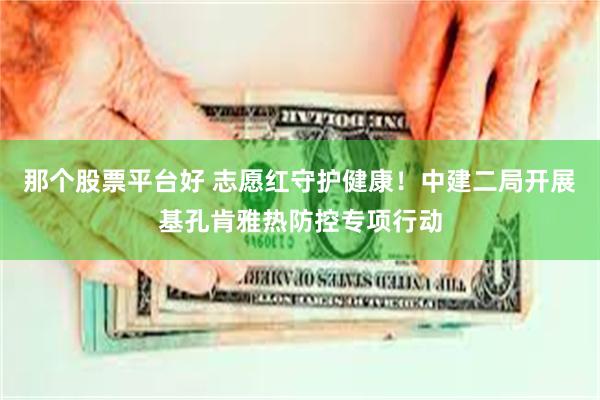 那个股票平台好 志愿红守护健康！中建二局开展基孔肯雅热防控专项行动