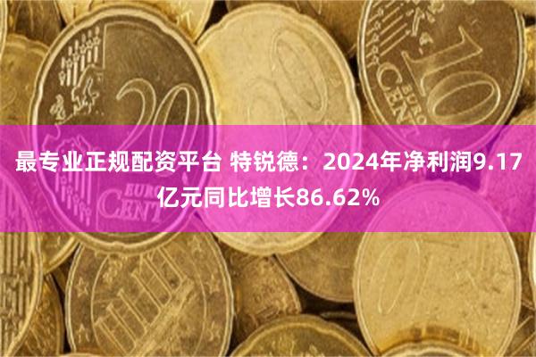 最专业正规配资平台 特锐德：2024年净利润9.17亿元同比增长86.62%