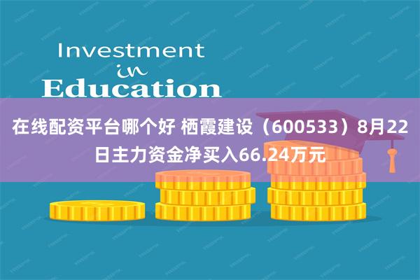 在线配资平台哪个好 栖霞建设(600533)8月22日主力资金净买入66.24万元