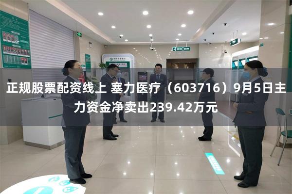 正规股票配资线上 塞力医疗（603716）9月5日主力资金净卖出239.42万元