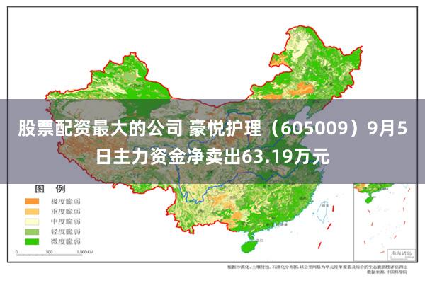 股票配资最大的公司 豪悦护理（605009）9月5日主力资金净卖出63.19万元