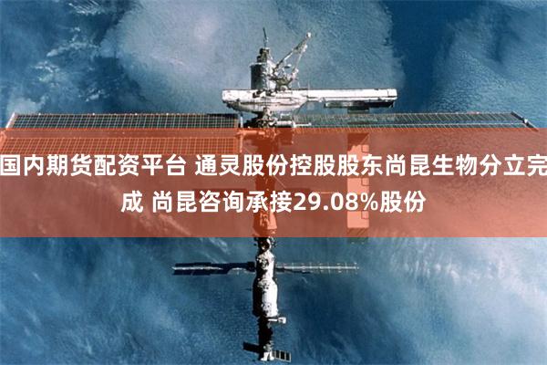国内期货配资平台 通灵股份控股股东尚昆生物分立完成 尚昆咨询承接29.08%股份