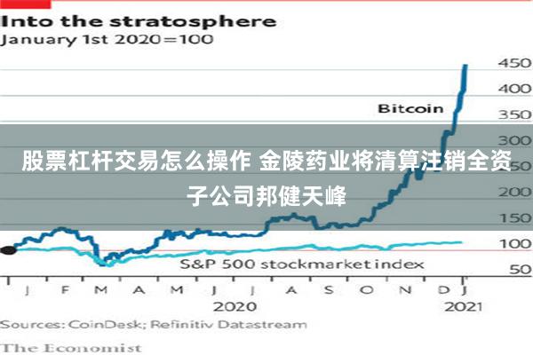 股票杠杆交易怎么操作 金陵药业将清算注销全资子公司邦健天峰