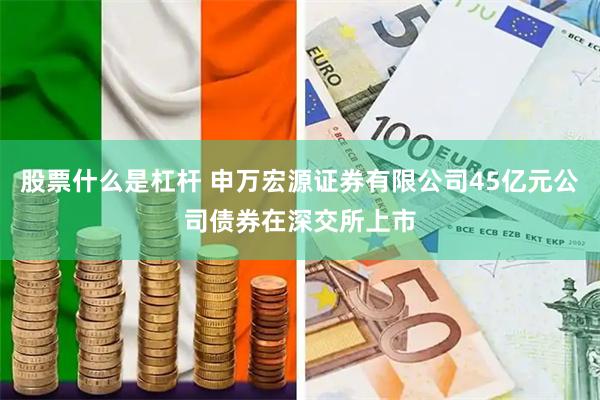 股票什么是杠杆 申万宏源证券有限公司45亿元公司债券在深交所上市
