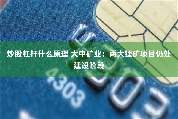 炒股杠杆什么原理 大中矿业：两大锂矿项目仍处建设阶段