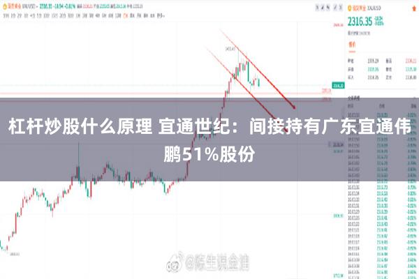 杠杆炒股什么原理 宜通世纪：间接持有广东宜通伟鹏51%股份