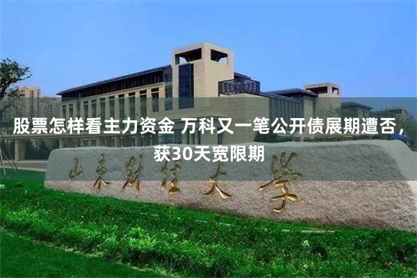 股票怎样看主力资金 万科又一笔公开债展期遭否,获30天宽限期