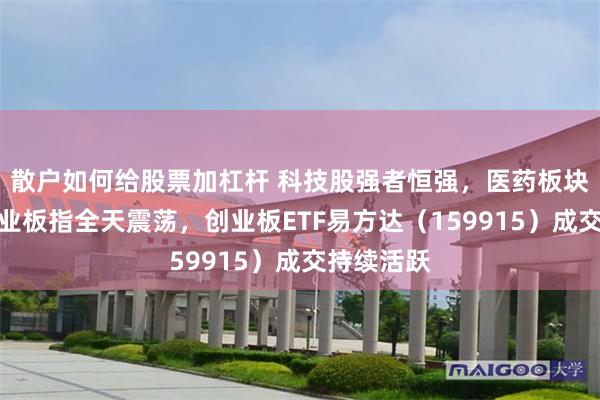 散户如何给股票加杠杆 科技股强者恒强，医药板块调整，创业板指全天震荡，创业板ETF易方达（159915）成交持续活跃