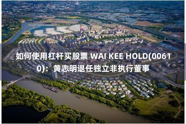 如何使用杠杆买股票 WAI KEE HOLD(00610)：黄志明退任独立非执行董事