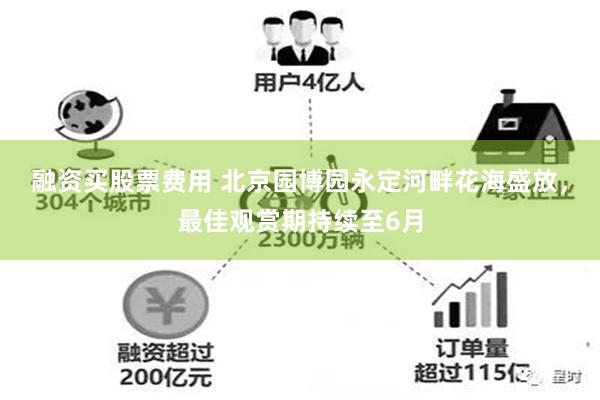 融资买股票费用 北京园博园永定河畔花海盛放，最佳观赏期持续至6月