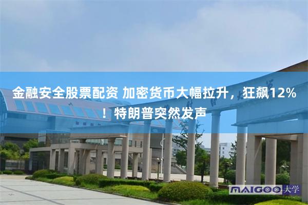 金融安全股票配资 加密货币大幅拉升，狂飙12%！特朗普突然发声