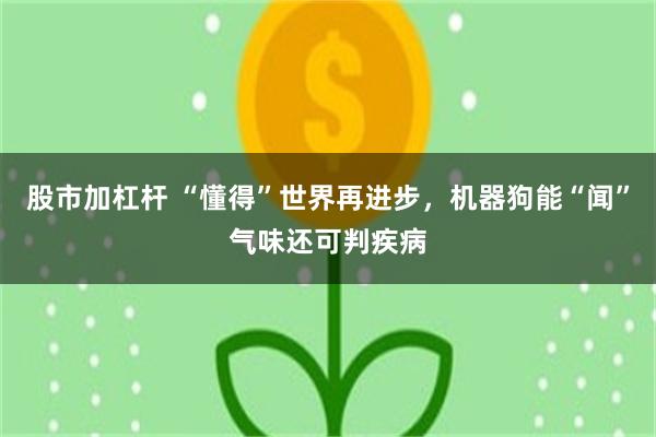 股市加杠杆 “懂得”世界再进步，机器狗能“闻”气味还可判疾病