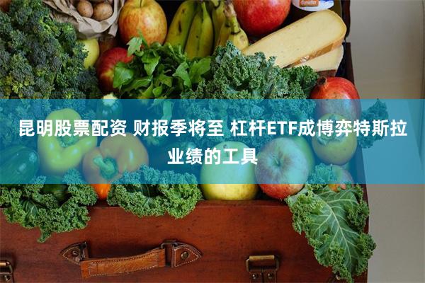 昆明股票配资 财报季将至 杠杆ETF成博弈特斯拉业绩的工具