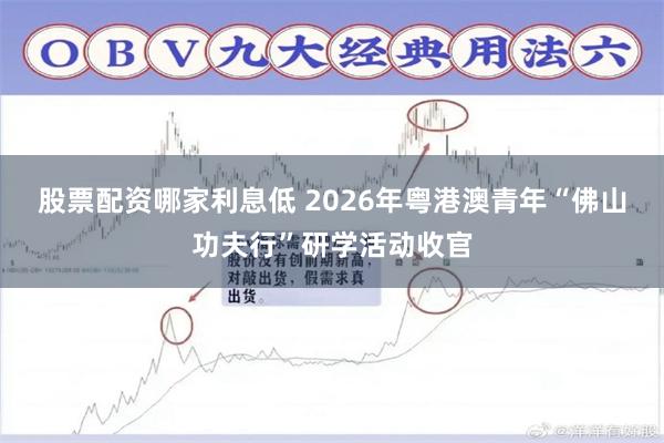 股票配资哪家利息低 2026年粤港澳青年“佛山功夫行”研学活动收官