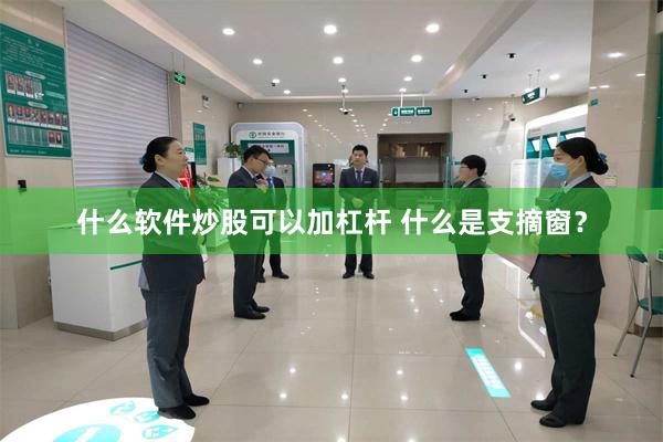 什么软件炒股可以加杠杆 什么是支摘窗？