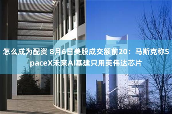怎么成为配资 8月6日美股成交额前20：马斯克称SpaceX未来AI基建只用英伟达芯片