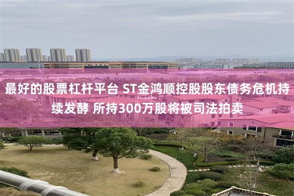 最好的股票杠杆平台 ST金鸿顺控股股东债务危机持续发酵 所持300万股将被司法拍卖