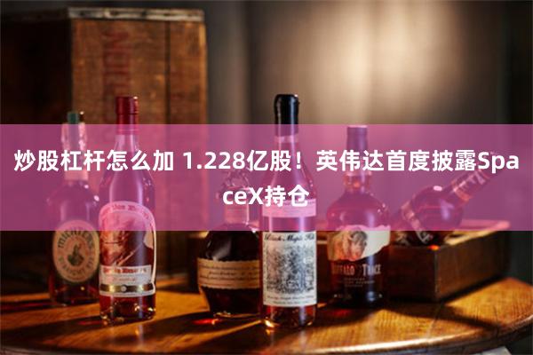 炒股杠杆怎么加 1.228亿股！英伟达首度披露SpaceX持仓