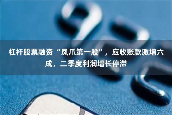 杠杆股票融资 “凤爪第一股”，应收账款激增六成，二季度利润增长停滞