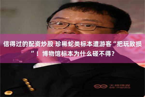 信得过的配资炒股 珍稀蛇类标本遭游客“把玩致损”！博物馆标本为什么碰不得？