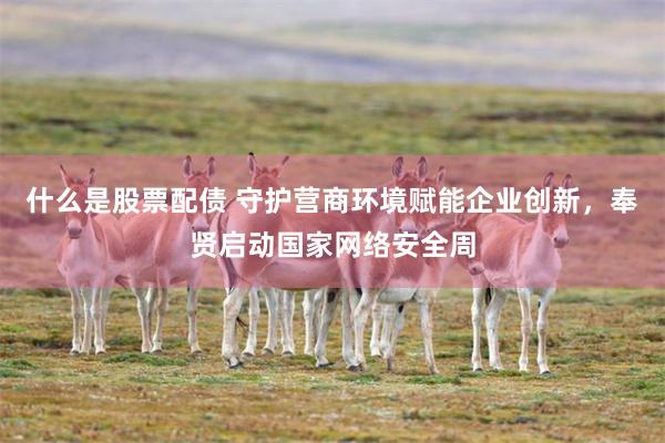 什么是股票配债 守护营商环境赋能企业创新，奉贤启动国家网络安全周