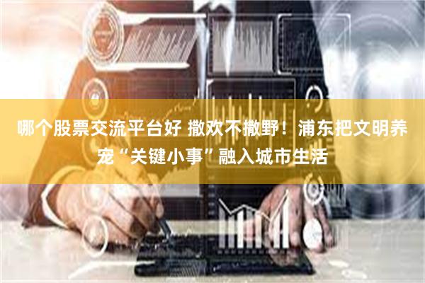 哪个股票交流平台好 撒欢不撒野！浦东把文明养宠“关键小事”融入城市生活