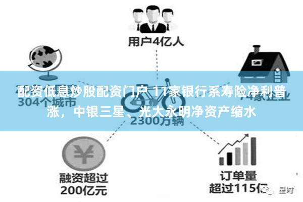 配资低息炒股配资门户 11家银行系寿险净利普涨，中银三星、光大永明净资产缩水