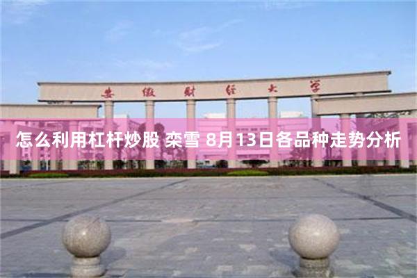 怎么利用杠杆炒股 栾雪 8月13日各品种走势分析
