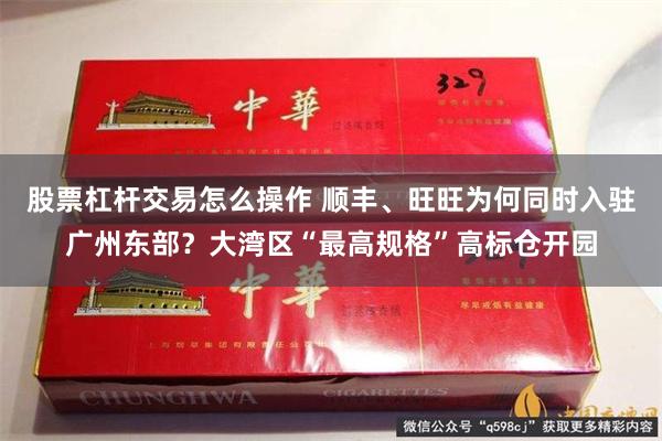 股票杠杆交易怎么操作 顺丰、旺旺为何同时入驻广州东部?大湾区“最高规格”高标仓开园