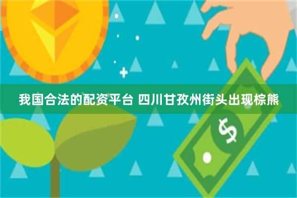 我国合法的配资平台 四川甘孜州街头出现棕熊