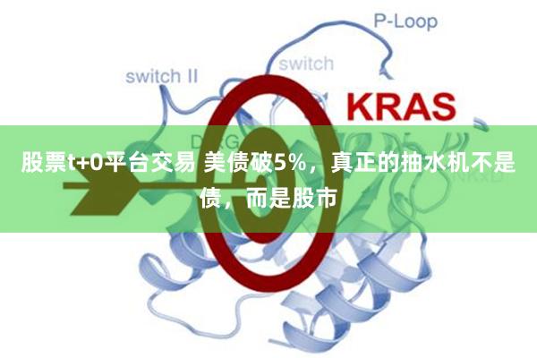 股票t+0平台交易 美债破5%，真正的抽水机不是债，而是股市